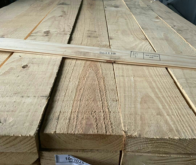 江南阿根廷松木